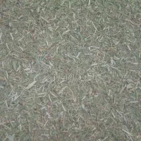 خارشتر نرم وسبز و دونه دار|حیوانات مزرعه|قوچان, |دیوار