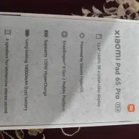 pad 6S pro 512 ram 12