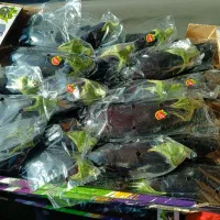 بادمجان لامپی سوپر لوکس