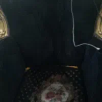 مبل سلطنتی چوب کردو|مبلمان خانگی و میز عسلی|بروجرد, |دیوار