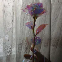 رز جاویدان مناسب هدیه و مناسبت