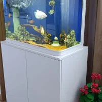 اکواریوم شیشه خم با ام دی اف و وسایل