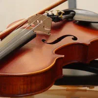 ویولن حرفه ای نو