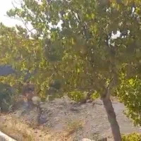 فروش چند قطعه باغچه بدون واسطه با متراژ های مختلف|فروش زمین و ملک کلنگی|تهران, شهرک پاسداران|دیوار