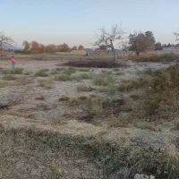 زمین مزروعی|فروش زمین و ملک کلنگی|ماهان, |دیوار