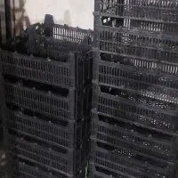 سبد جا انگور  جعبه پلاستیکی