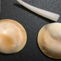 مهره قدیمی