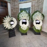 پخش کننده گل شبکه ای تاجگل|گل و گیاه طبیعی|تهران, آهنگ|دیوار