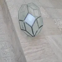 آکواریم سفینه ای