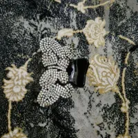 کلیپس و گلسر