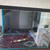 فروش اکواریوم با تصویه بخاری