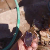 سنگ