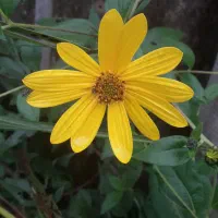 به یه ضامن بازنشسته یا کارمند نیازمندیم