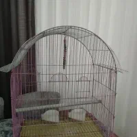 قفس پرنده