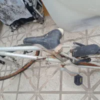 دوچرخه ۲۶|دوچرخه، اسکیت، اسکوتر|تربت جام, شهرک معلم|دیوار