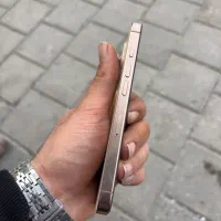 گوشی ایفون ۱۶پرو|موبایل|تبریز, |دیوار