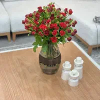 فروش جهیزیه