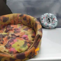 لانه دو حالته ضد حساسیت برای حیوانات|لوازم جانبی حیوانات|رشت, گلباغ نماز|دیوار