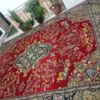 فرش|فرش|جوین, |دیوار