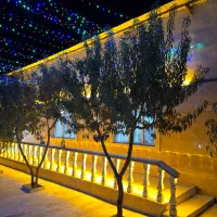 لیدر مافیا