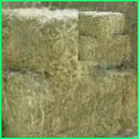 پرس یونجه خشک