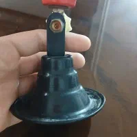 پیکنیگ