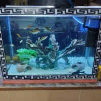 آکواریوم با وسایل کلی