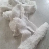 دم قیچی ببیی سفید