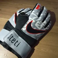 دسکش دروازبان سایز متوسط