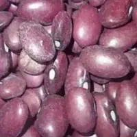 لوبیا قرمز