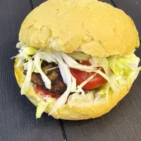 همبرگر اماده و نیمه اماده ادویه برگر