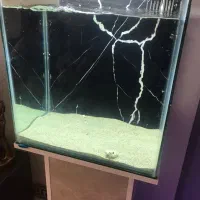اکواریوم ابشور و شیرین