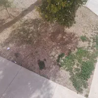 فروش-زمین-تاکسیرانی-در-ب-حیاط