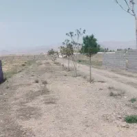 زمین-باغی-ارامگاه-فردوسی-حاشیه-اصلی-حسن-اباد