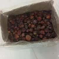 خرما خاصویی|خوردنی و آشامیدنی|شیراز, ملاصدرا|دیوار
