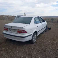 جویای صافکار