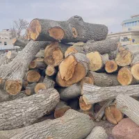 خرید انواع چوب