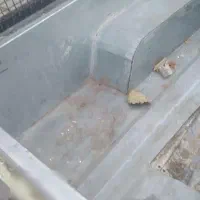 پیکان وانت مدل ۸۵|خودرو سواری و وانت|کرمان, |دیوار