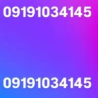 ۰۹۱۹*۱۰۳*۴۱*۴۵*