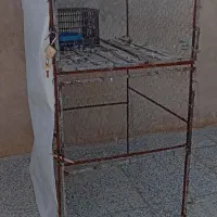 جفت کن پرنده