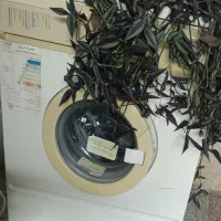 ماشین لباسشویی|ماشین لباسشویی و خشک‌کن لباس|سیاهکل, |دیوار