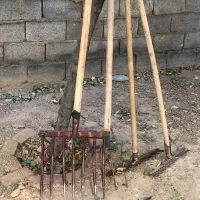 شن و کره
