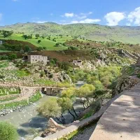 تور ویژه پالنگان