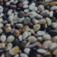 موکت دو مدل، فرش قالیچه، پرده پانچ