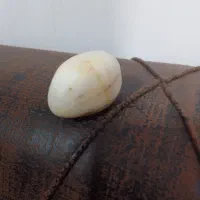 سنگ قیمتی|جواهرات|تربت جام, جلگه موسی آباد|دیوار