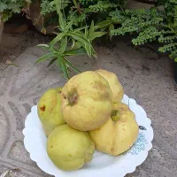 به اصفهان