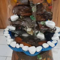 آب نما
