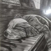 تابلوی سیاه قلم