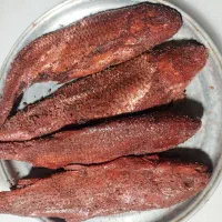 ماهی شور|ماهی|کیاشهر, |دیوار