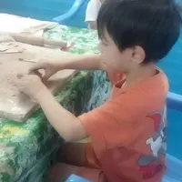 اموزشگاه سفالگری